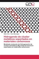Fanor Mondragón, Wilbe Silva, Wilber Silva - Hidrogendo de cluster metálicos soportados en materiales carbonosos