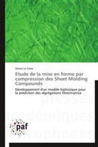 Steven Le Corre, Le corre-s - Etude de la mise en forme par