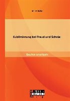 Kai Wöbcke - Sublimierung bei Freud und Scheler