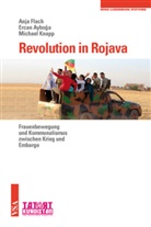 Erca Ayboga, Ercan Ayboga, Anj Flach, Anja Flach, Michael Knapp, Rosa-Luxemburg-Stiftun - Revolution in Rojava