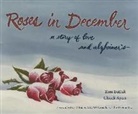 Chuck Ayers, Tom Batiuk, Tom/ Ayers Batiuk - Roses in December