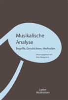 Felix Diergarten - Musikalische Analyse