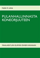 Heikki K. Lähde - Pulanhallinnasta koneorjuuteen