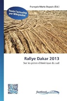 François-Mari Dupuis, François-Marie Dupuis - Rallye Dakar 2013
