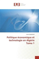 Amar Siabdelhadi, Siabdelhadi-A - Politique economique et