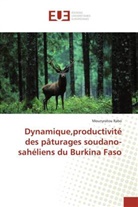 Mounyratou Rabo, Rabo-m - Dynamique,productivite des