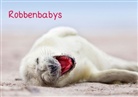 Jenny Sturm - Robbenbabys (Tischaufsteller DIN A5 quer)