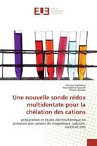 Khaled Boujlel, Marwa Haddaoui, Noureddine Raouafi - Une nouvelle sonde redox