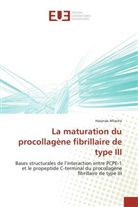 Hassnae Afrache, Afrache-h - La maturation du procollagene
