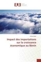 Arsène Basse, Basse-a - Impact des importations sur la
