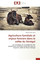 Ibrahima Faye Diouf, Diouf-i - Agriculture familiale et enjeux