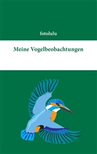 Fotolulu - Meine Vogelbeobachtungen