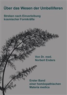 Norbert Enders - Über das Wesen der Umbelliferen - Streben nach Einverleibung kosmischer Formkräfte
