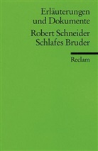 Robert Schneider - Robert Schneider 'Schlafes Bruder'