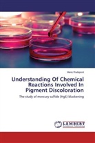 Marie Radepont - Understanding Of Chemical Reactions Involved In Pigment Discoloration
