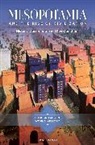 Jane Mcintosh, Jane R McIntosh, Jane R. Mcintosh, McIntosh Jane R. - Mesopotamia and the Rise of Civilization