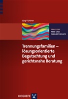 Jörg Fichtner - Trennungsfamilien - lösungsorientierte Begutachtung und gerichtsnahe Beratung