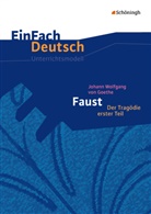 Claudia Müller-Völkl, Michael Völkl, Claudi Müller-Völkl, Claudia Müller-Völkl, Michael Völkl, Johann Wolfgang Von Goethe... - EinFach Deutsch Unterrichtsmodelle