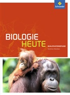 Michael Walory, Elsbeth Westendorf-Bröring - Biologie heute SII, Ausgabe 2014 Nordrhein-Westfalen: Biologie heute SII - Ausgabe 2014 für Nordrhein-Westfalen