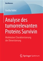 Cecilia Vallet - Analyse des tumorrelevanten Proteins Survivin