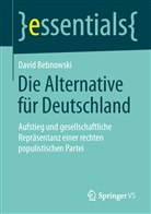 David Bebnowski - Die Alternative für Deutschland