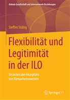 Steffen Stübig - Flexibilität und Legitimität in der ILO