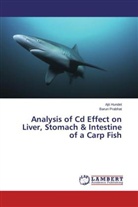 Aji Hundet, Ajit Hundet, Barun Prabhat - Analysis of Cd Effect on Liver, Stomach & Intestine of a Carp Fish