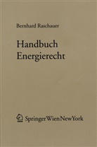 Bernhard Raschauer - Handbuch Energierecht