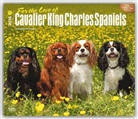 Browntrout Publishers (COR) - For the Love of Cavalier King Charles Spaniels 2016 Calendar