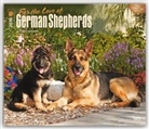 Browntrout Publishers (COR) - For the Love of German Shepherds 2016 Calendar