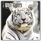 Browntrout Publishers (COR) - White Tigers 2016 Calendar