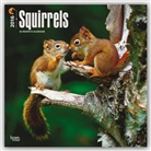 Inc Browntrout Publishers, Browntrout Publishers (COR) - Squirrels 2016 Calendar
