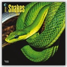 Browntrout Publishers (COR) - Snakes 2016 Calendar