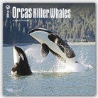 Browntrout Publishers (COR) - Orcas, Killer Whales 2016 Calendar