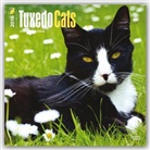 Inc Browntrout Publishers, Browntrout Publishers (COR), Inc Browntrout Publishers - Tuxedo Cats 2016 Calendar