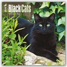 Inc Browntrout Publishers, Browntrout Publishers (COR) - Black Cats 2016 Calendar