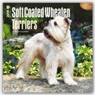 Inc Browntrout Publishers, Browntrout Publishers (COR) - Soft Coated Wheaten Terriers 2016 Calendar