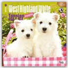 Browntrout Publishers (COR) - West Highland White Terrier Puppies 2016 Calendar
