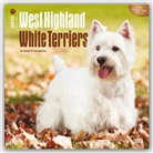 Inc Browntrout Publishers, Browntrout Publishers (COR), Inc Browntrout Publishers - West Highland White Terriers 2016 Calendar