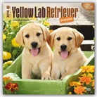 Browntrout Publishers (COR) - Yellow Labrador Retriever Puppies 2016 Calendar