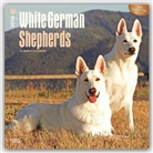 Browntrout Publishers (COR) - White German Shepherds 2016 Calendar