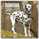 Browntrout Publishers (COR) - Dalmatians 2016 Calendar