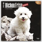 Browntrout Publishers (COR) - Bichon Frise Puppies 2016 Calendar