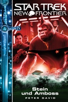Peter David, Peter Allen David - Star Trek - New Frontier, Stein und Amboss