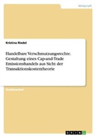 Kristina Riedel - Handelbare Verschmutzungsrechte. Gestaltung eines Cap-and-Trade Emissionshandels aus Sicht der Transaktionskostentheorie