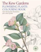 Arcturus Publishing - The Kew Gardens Flowering Plants Colouring Book