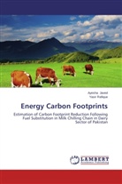 Ayesh Javed, Ayesha Javed, Yasir Rafique - Energy Carbon Footprints
