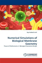 Raja Noshad Jamil - Numerical Simulations of Biological Membrane Geometry