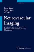 Luca Ed Saba, Saba Luca, Raz, Raz, Eytan Raz, Luc Saba... - Neurovascular Imaging, 2 Vols.