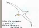 Julien Chaplier - Natural Selection